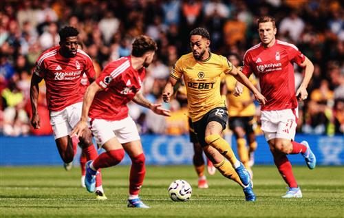 น็อตติ้งแฮม ฟอเรสต์ พบ วูล์ฟส์